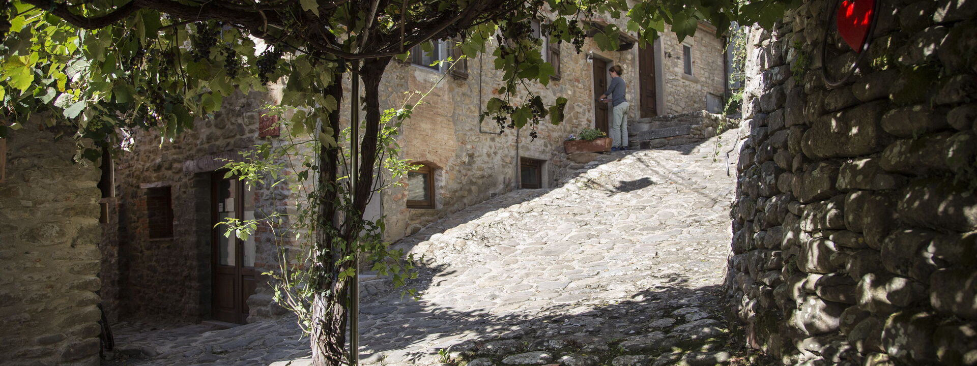 Il Canto Del Maggio - La Castellana