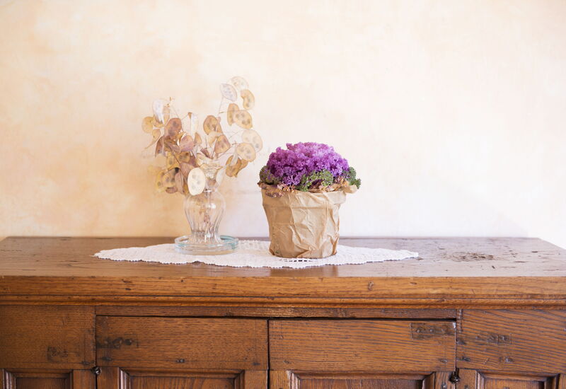 Il Canto Del Maggio - Cecilia