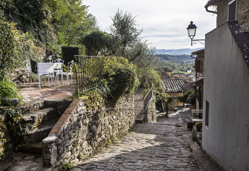 Il Canto Del Maggio - Cecilia