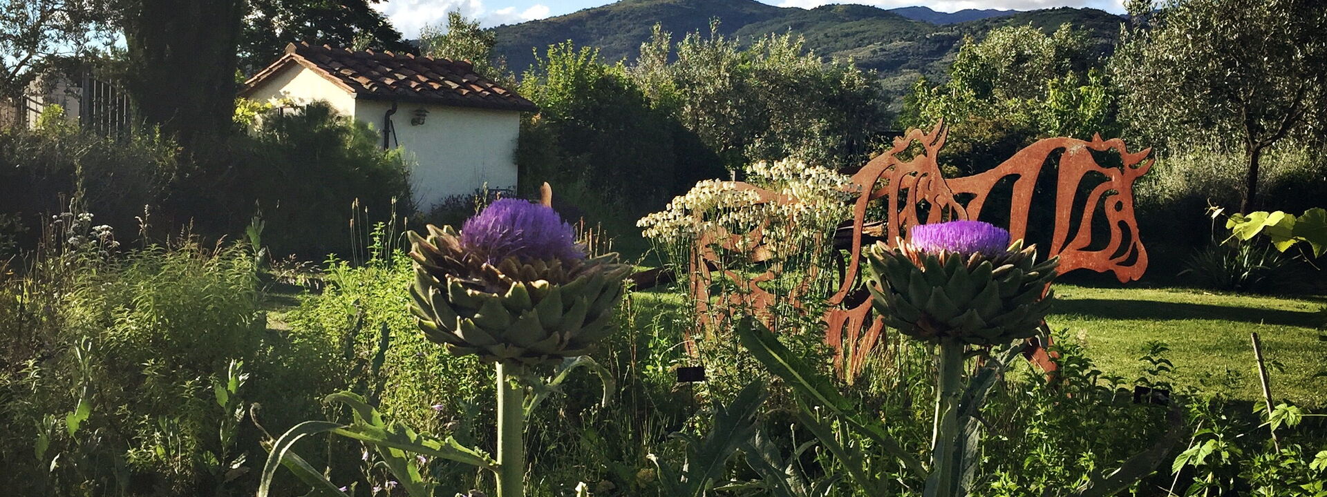 Il Canto Del Maggio Exclusive