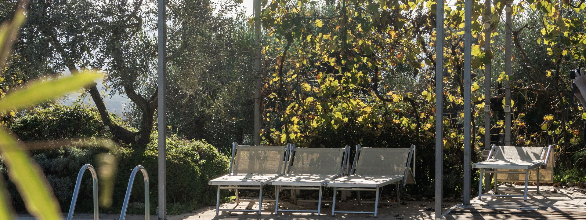Il Canto Del Maggio Exclusive
