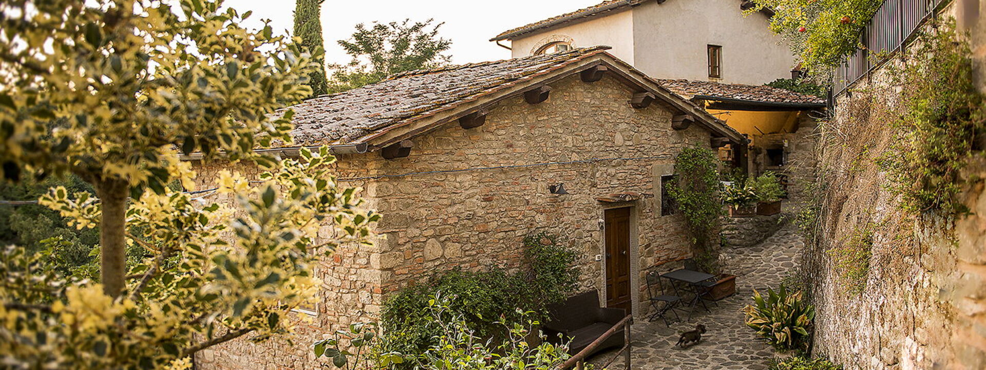 Il Canto Del Maggio Exclusive