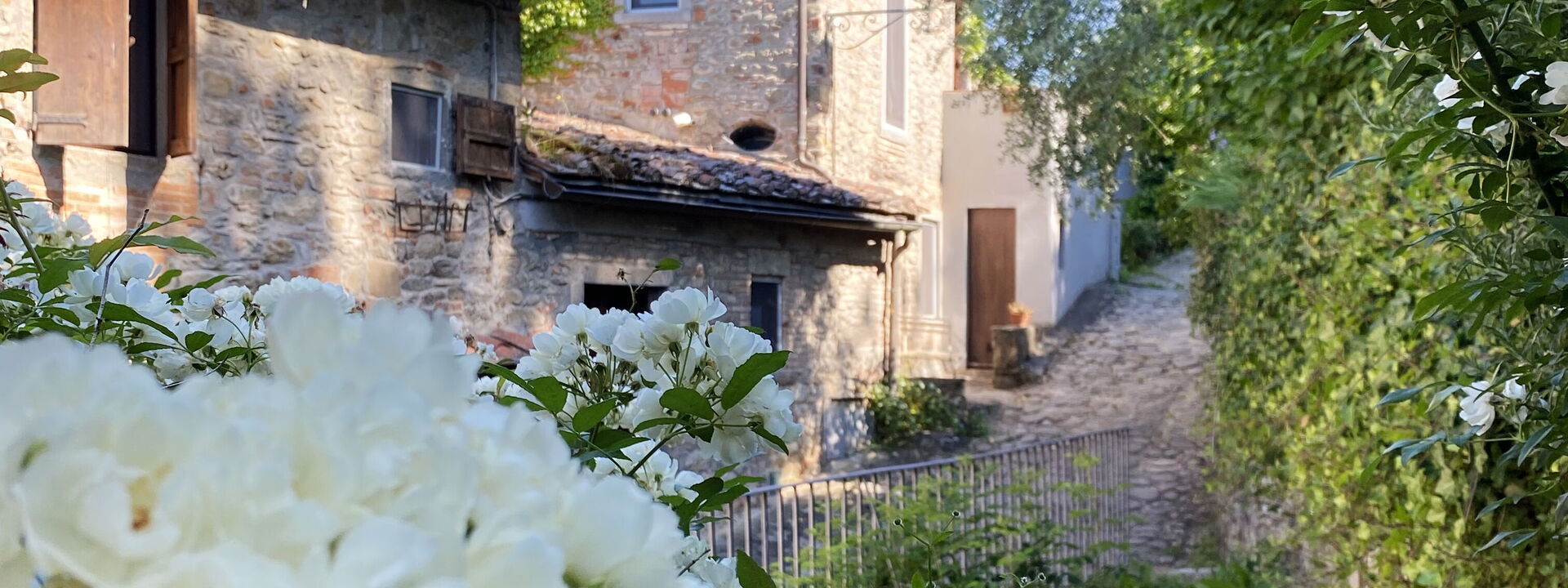 Il Canto Del Maggio Exclusive