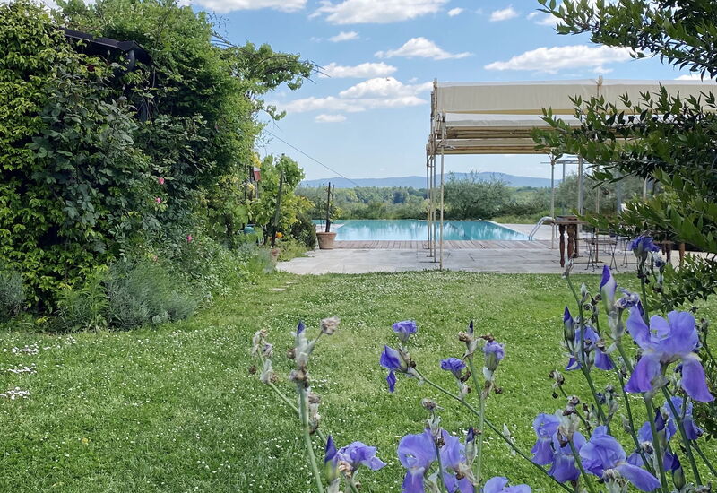 Il Canto Del Maggio Exclusive